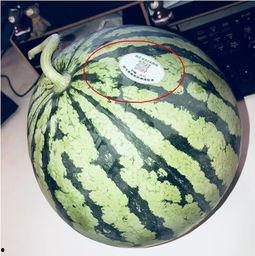 400w网红吃瓜,400万网红揭秘娱乐圈吃瓜大事件  第1张